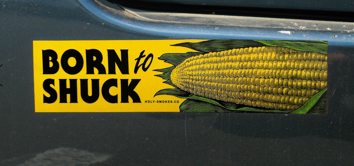 Born to Shuck Bumper Sticker